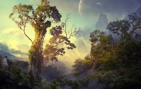 fantasy, light, nature, moon, trees