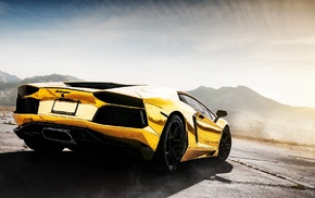 gold, Lamborghini