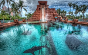 palm trees, HDR, architecture, shark, building, animals