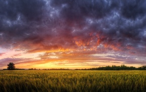 landscape, nature, summer, sunset, HDR