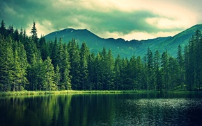 nature, water