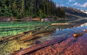 landscape, trees, nature, river, forest, HDR