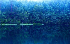 lake, mirror, forest, nature