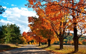 autumn, trees