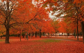 autumn, park