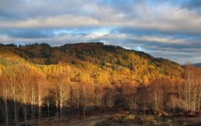 mountain, autumn