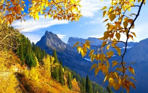 mountain, autumn