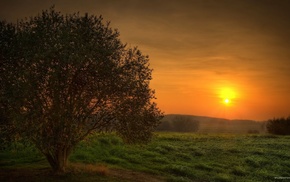 nature, sunset