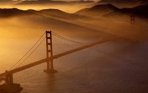 nature, bridge