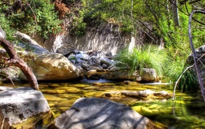 creek, nature