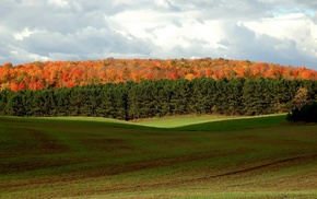 nature