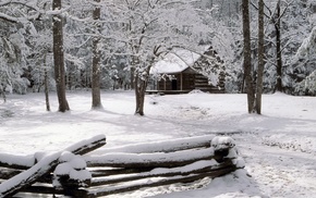 snow, winter