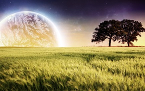 nature, night