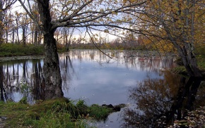 autumn, lake