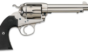 gun