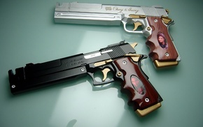 gun