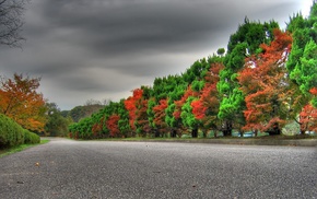 red, autumn, green