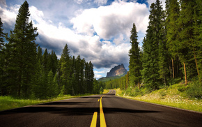 road, nature, rock, forest