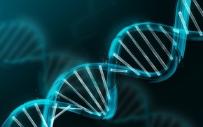 DNA, genetics