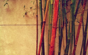 colorful, bamboo