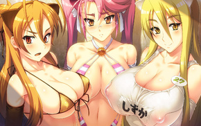 big boobs, girls, anime