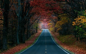 road, nature
