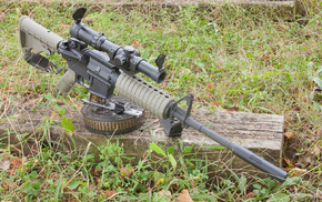 gun