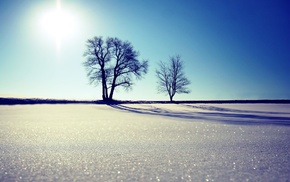 winter, snow