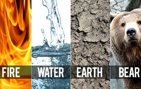 Earth, air, fire, water, panels, bears