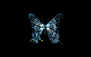 butterfly, movies