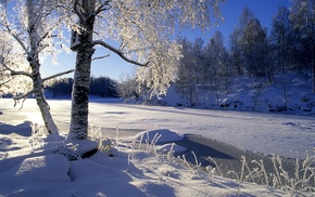 winter, trees, snow, landscape