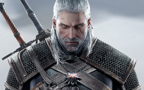 The Witcher