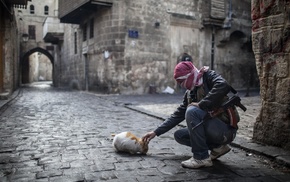 gun, street, cat, war, Syria, Aleppo