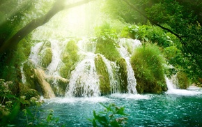 trees, nature, waterfall, rays