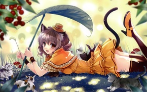 anime, nekomimi, anime girls, cat