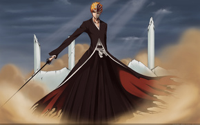 Bleach, anime