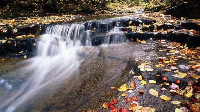 nature