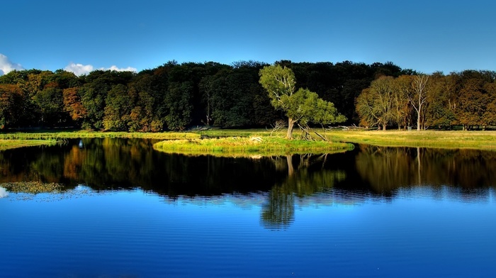 nature