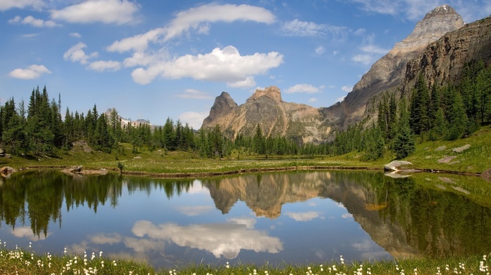nature