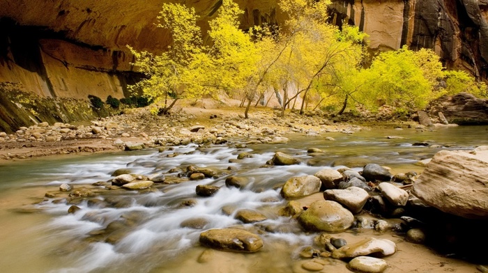 nature